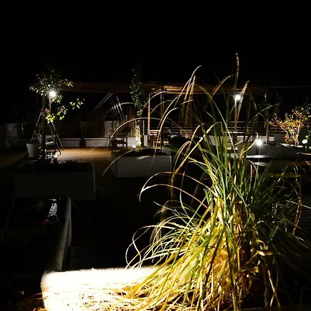 Bed & Breakfast Sempreverde Atelier 4*