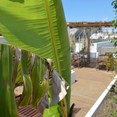 Sempreverde Atelier Bed & Breakfast