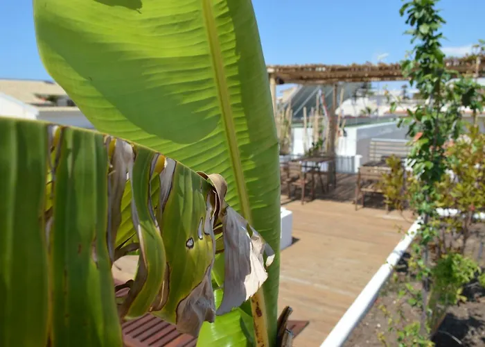 Sempreverde Atelier Bed and Breakfast